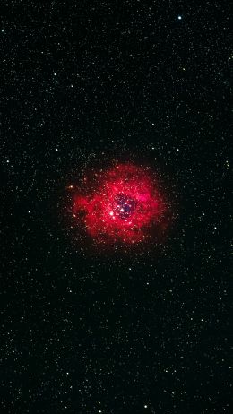 nebula, stars Wallpaper 1440x2560