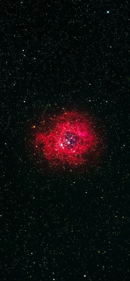 nebula, stars Wallpaper 1080x2340