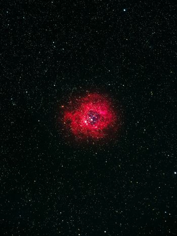 nebula, stars Wallpaper 1668x2224