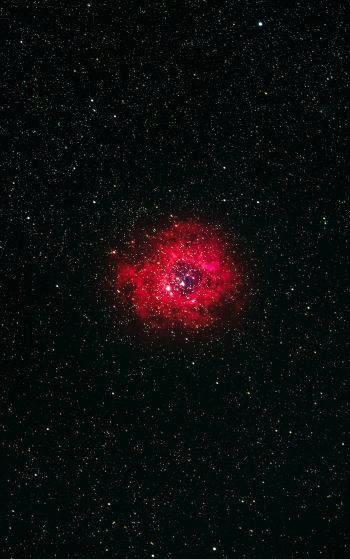nebula, stars Wallpaper 1752x2800