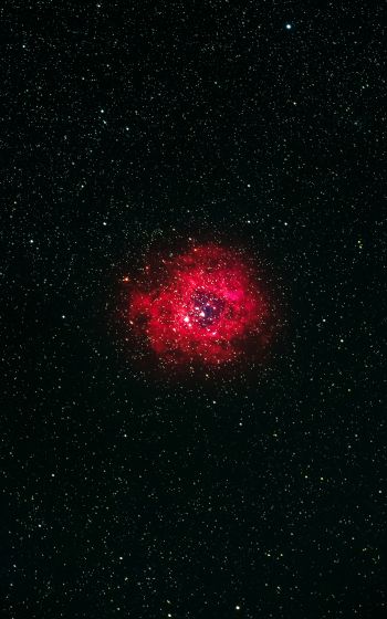 nebula, stars Wallpaper 1600x2560