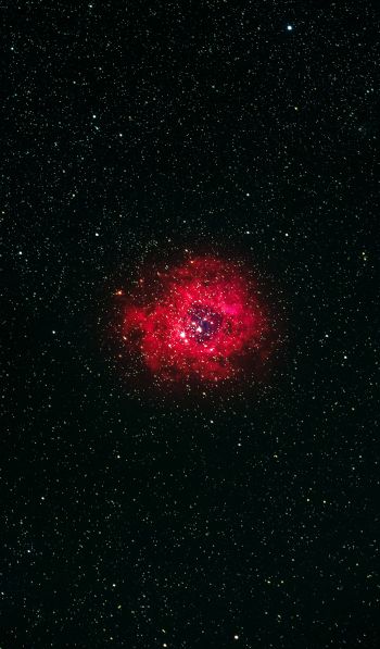 nebula, stars Wallpaper 600x1024