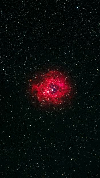 nebula, stars Wallpaper 640x1136