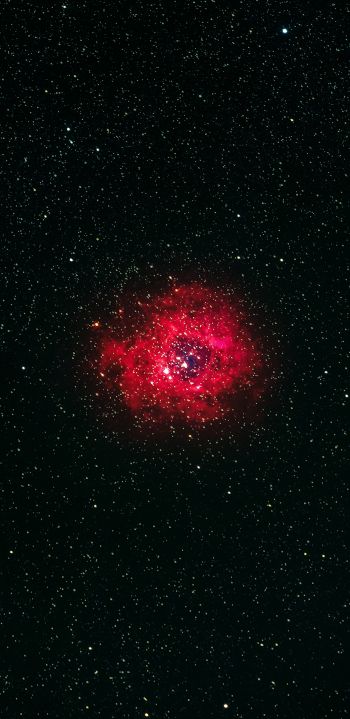 nebula, stars Wallpaper 1440x2960