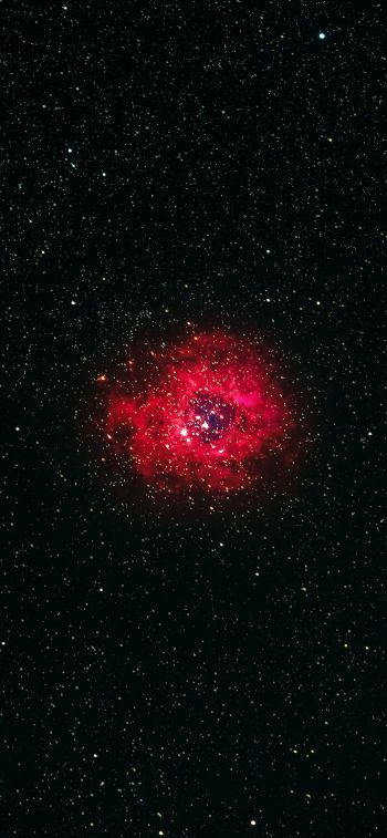 nebula, stars Wallpaper 828x1792