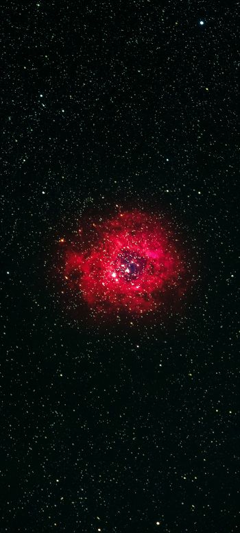 nebula, stars Wallpaper 1440x3200