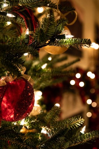 christmas, spruce, decoration Wallpaper 640x960