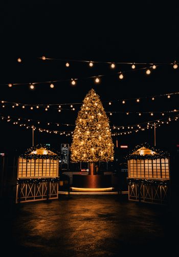 christmas, holiday lights Wallpaper 1640x2360