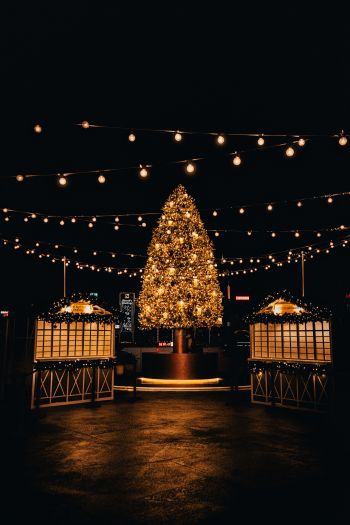christmas, holiday lights Wallpaper 640x960