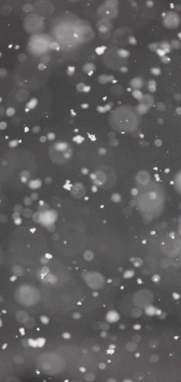 snowflakes, gray Wallpaper 1440x3040
