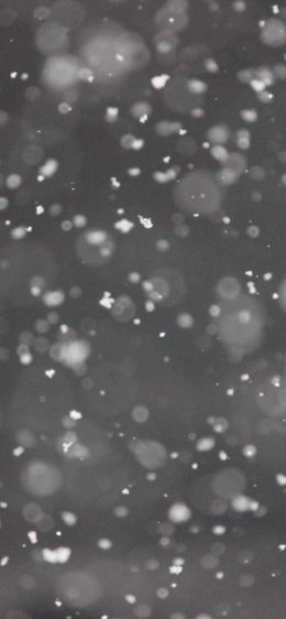 snowflakes, gray Wallpaper 1242x2688
