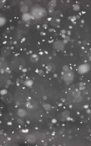 snowflakes, gray Wallpaper 1752x2800