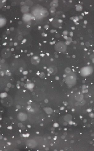 snowflakes, gray Wallpaper 800x1280