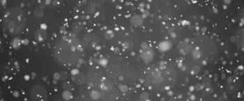 snowflakes, gray Wallpaper 3440x1440