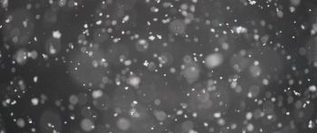 snowflakes, gray Wallpaper 2560x1080
