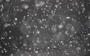 snowflakes, gray Wallpaper 2560x1600