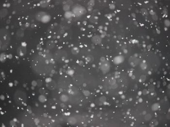 snowflakes, gray Wallpaper 1024x768