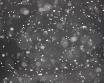 snowflakes, gray Wallpaper 1280x1024