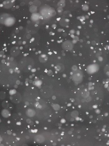 snowflakes, gray Wallpaper 1668x2224