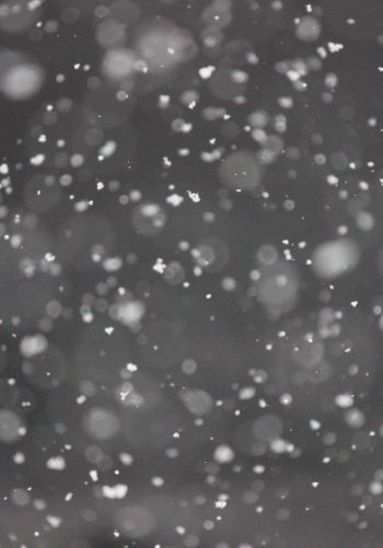 snowflakes, gray Wallpaper 1668x2388
