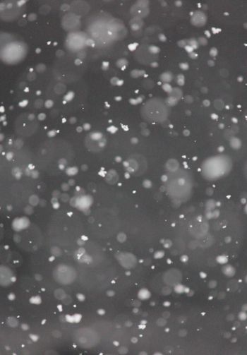 snowflakes, gray Wallpaper 1640x2360