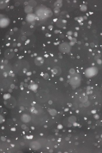 snowflakes, gray Wallpaper 640x960