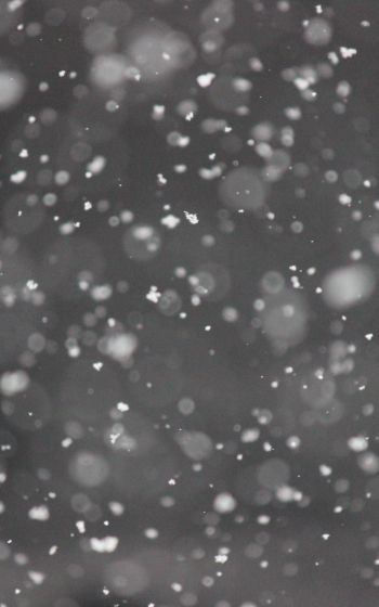 snowflakes, gray Wallpaper 1600x2560