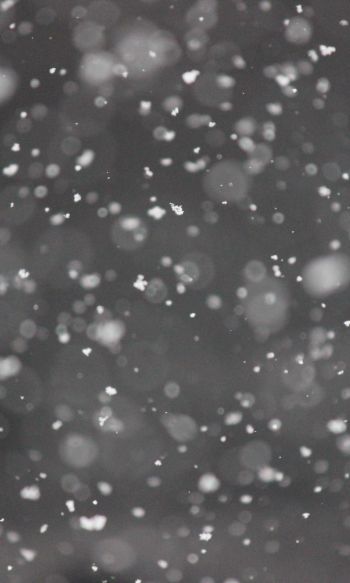 snowflakes, gray Wallpaper 1200x2000