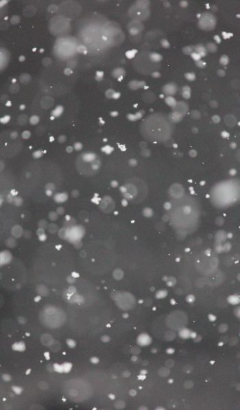 snowflakes, gray Wallpaper 600x1024