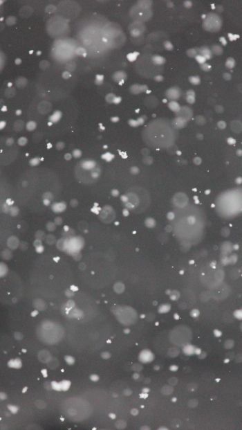snowflakes, gray Wallpaper 640x1136