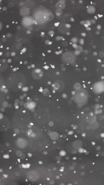 snowflakes, gray Wallpaper 750x1334