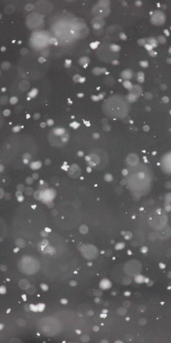 snowflakes, gray Wallpaper 720x1440