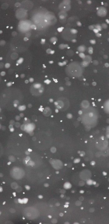 snowflakes, gray Wallpaper 1440x2960
