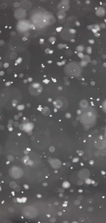 snowflakes, gray Wallpaper 1080x2280