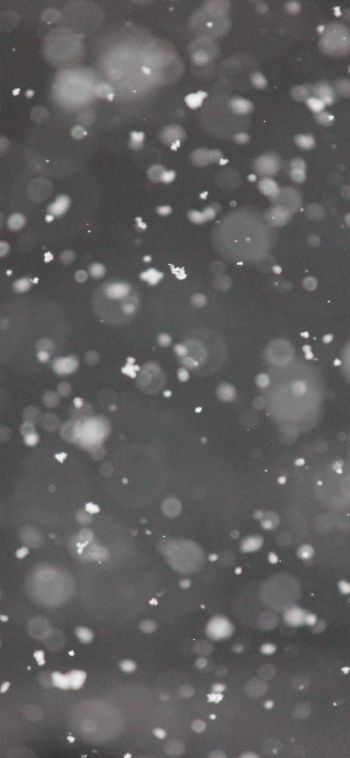 snowflakes, gray Wallpaper 1080x2340