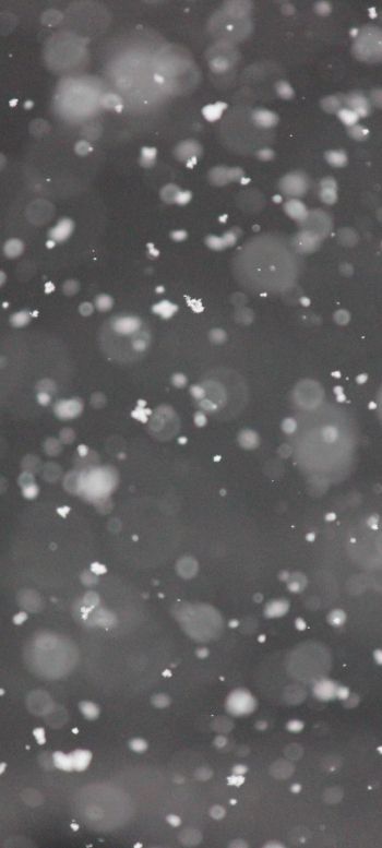 snowflakes, gray Wallpaper 1440x3200