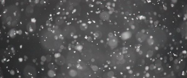 snowflakes, gray Wallpaper 3440x1440