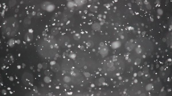 snowflakes, gray Wallpaper 3840x2160