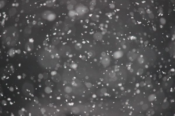 snowflakes, gray Wallpaper 5184x3456