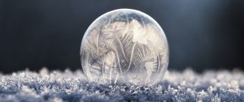 bubble, ball, frost Wallpaper 2560x1080