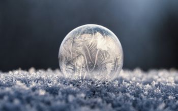bubble, ball, frost Wallpaper 2560x1600
