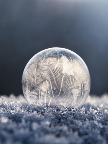bubble, ball, frost Wallpaper 1536x2048