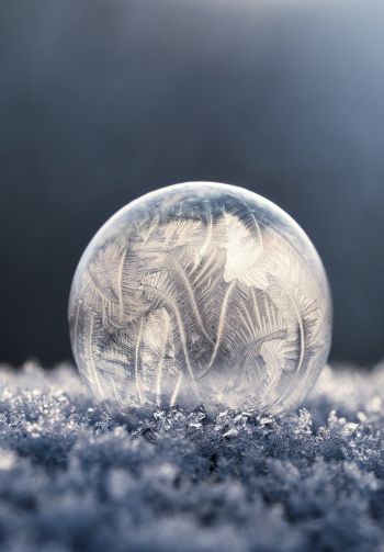 bubble, ball, frost Wallpaper 1640x2360