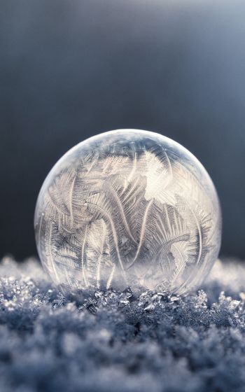 bubble, ball, frost Wallpaper 800x1280