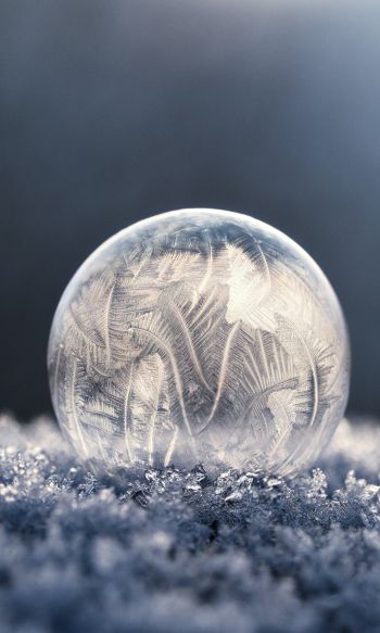 bubble, ball, frost Wallpaper 1200x2000