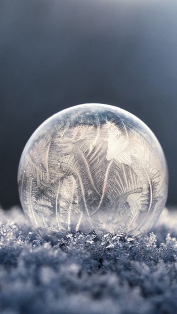 Обои 1080x1920 пузырь, шар, мороз
