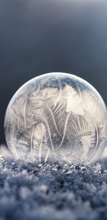 bubble, ball, frost Wallpaper 1080x2220