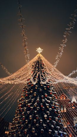 Christmas tree, holiday lights Wallpaper 640x1136