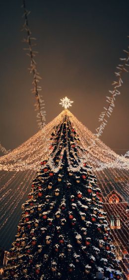 Christmas tree, holiday lights Wallpaper 828x1792