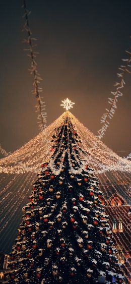 Christmas tree, holiday lights Wallpaper 1080x2340